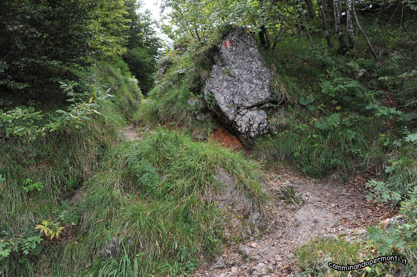 036 Periplo e vetta Monte Alben la Croce.JPG